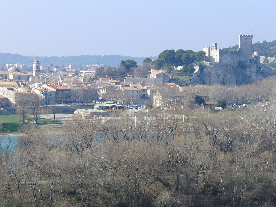 Fichier:Beaucaire vue.JPG